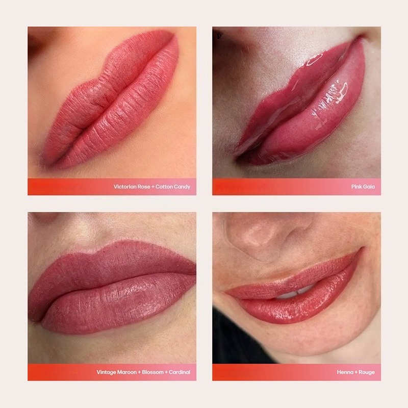 أحبار ماكياج دائم الشفاه نبات  - مراجعة Beauty Luxe Makeup وسعره